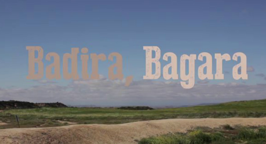 badira-bagara.jpg