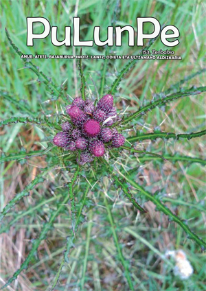 pulunpe-153-ekaina-web-1.jpg